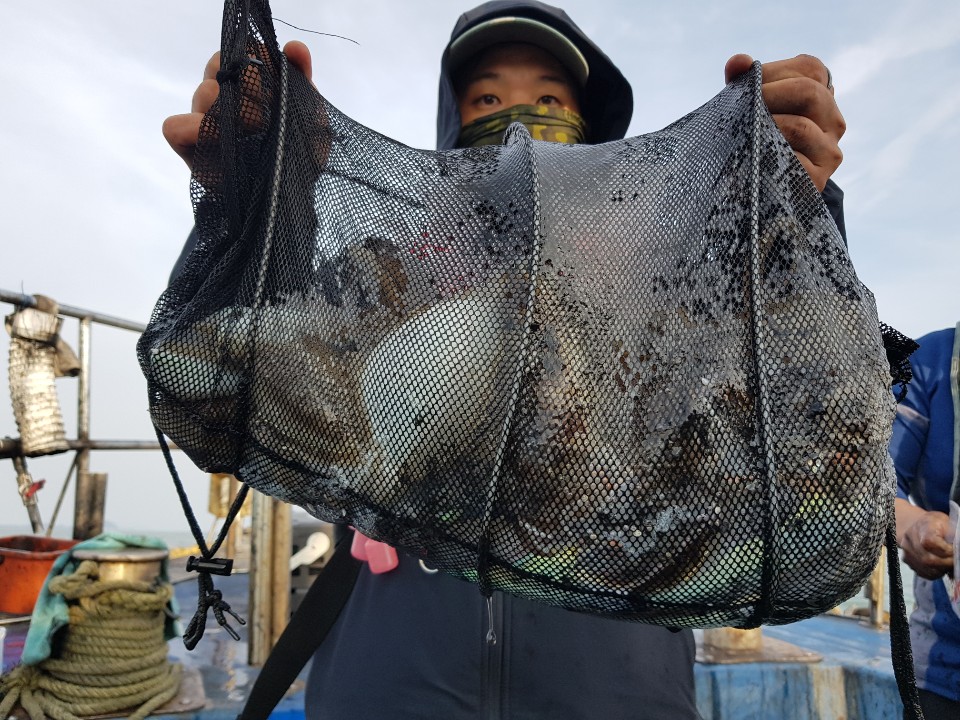 10월16일 거정호 갑오징어조황