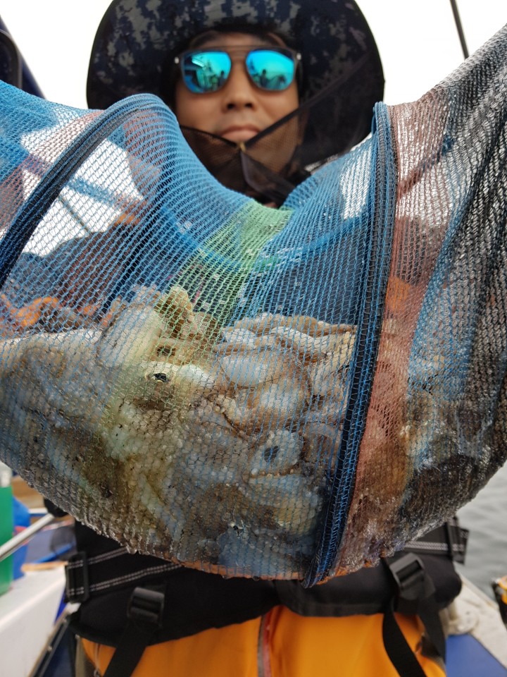 10월23일 대양호 쭈꾸미조황