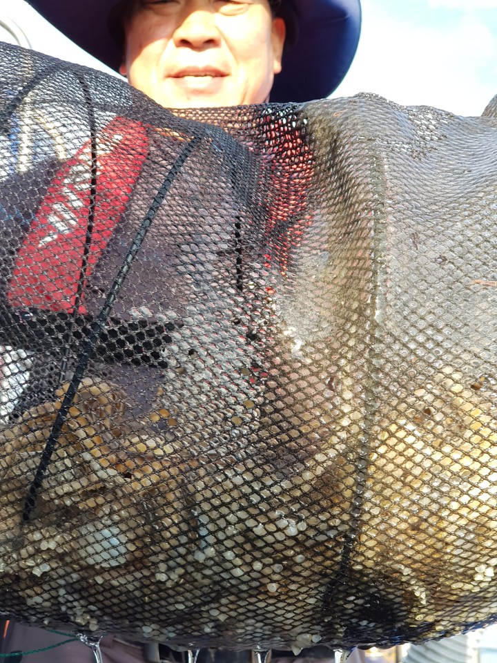 10월18일 대양호 쭈꾸미조황