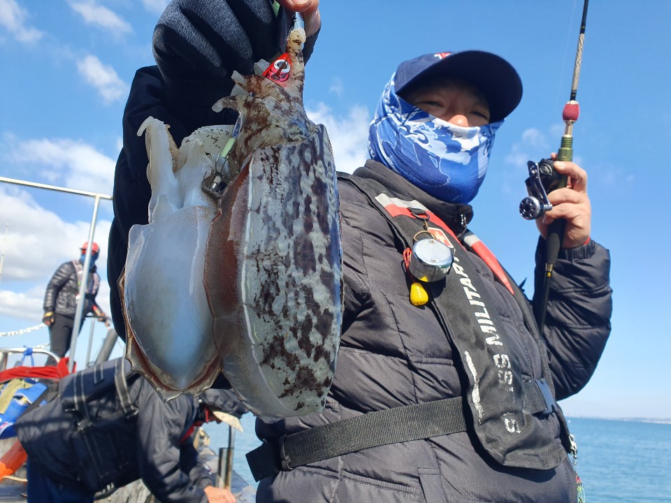 10월30일 뉴대성호 주꾸미조황