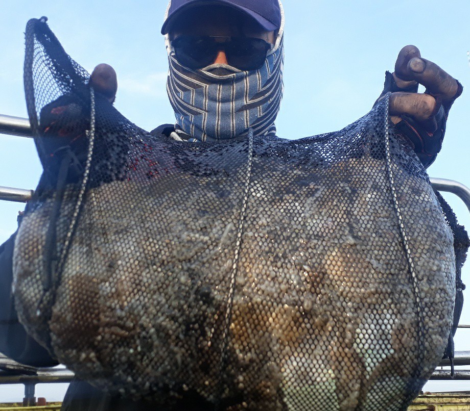 10월22일 대성호 사리때보다 못한 쭈꾸미조황