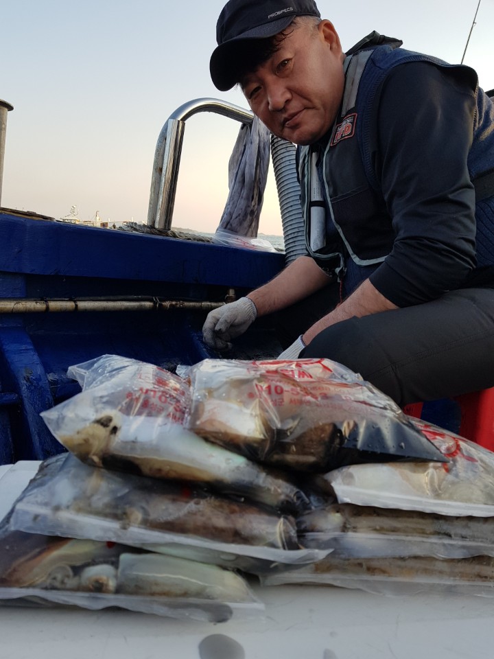 11월4일 대양호 쭈꾸미조황