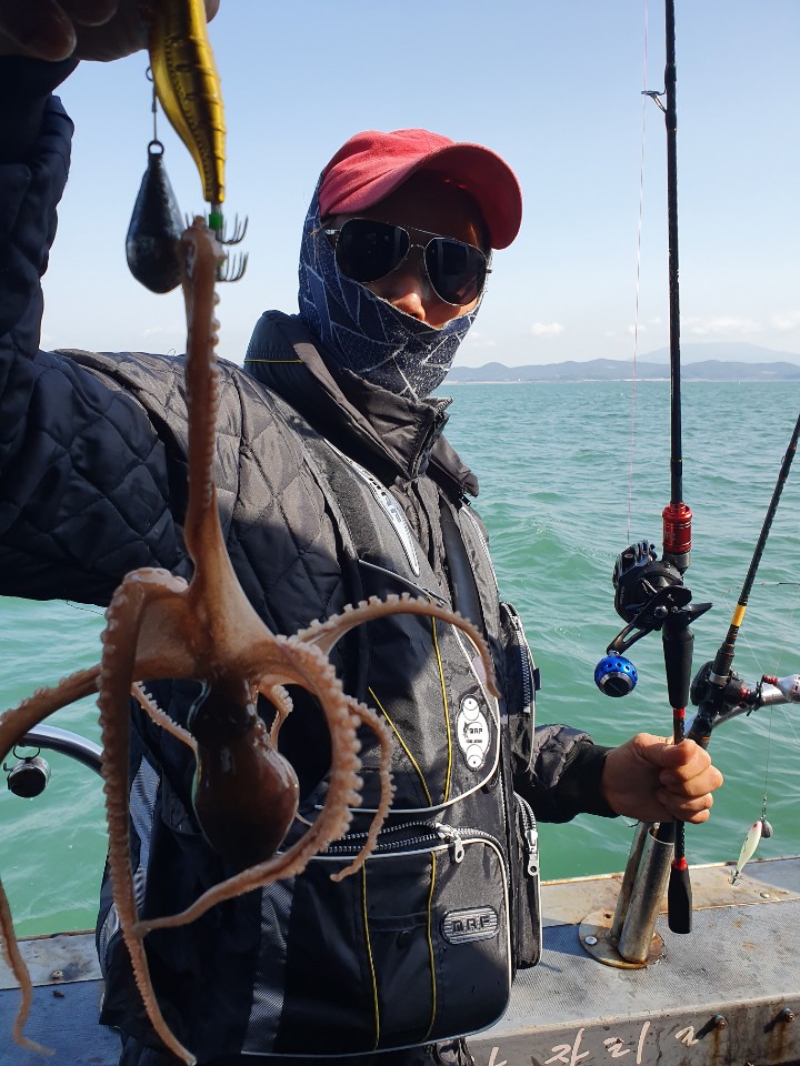 10월31일 뉴대성호 주꾸미조황