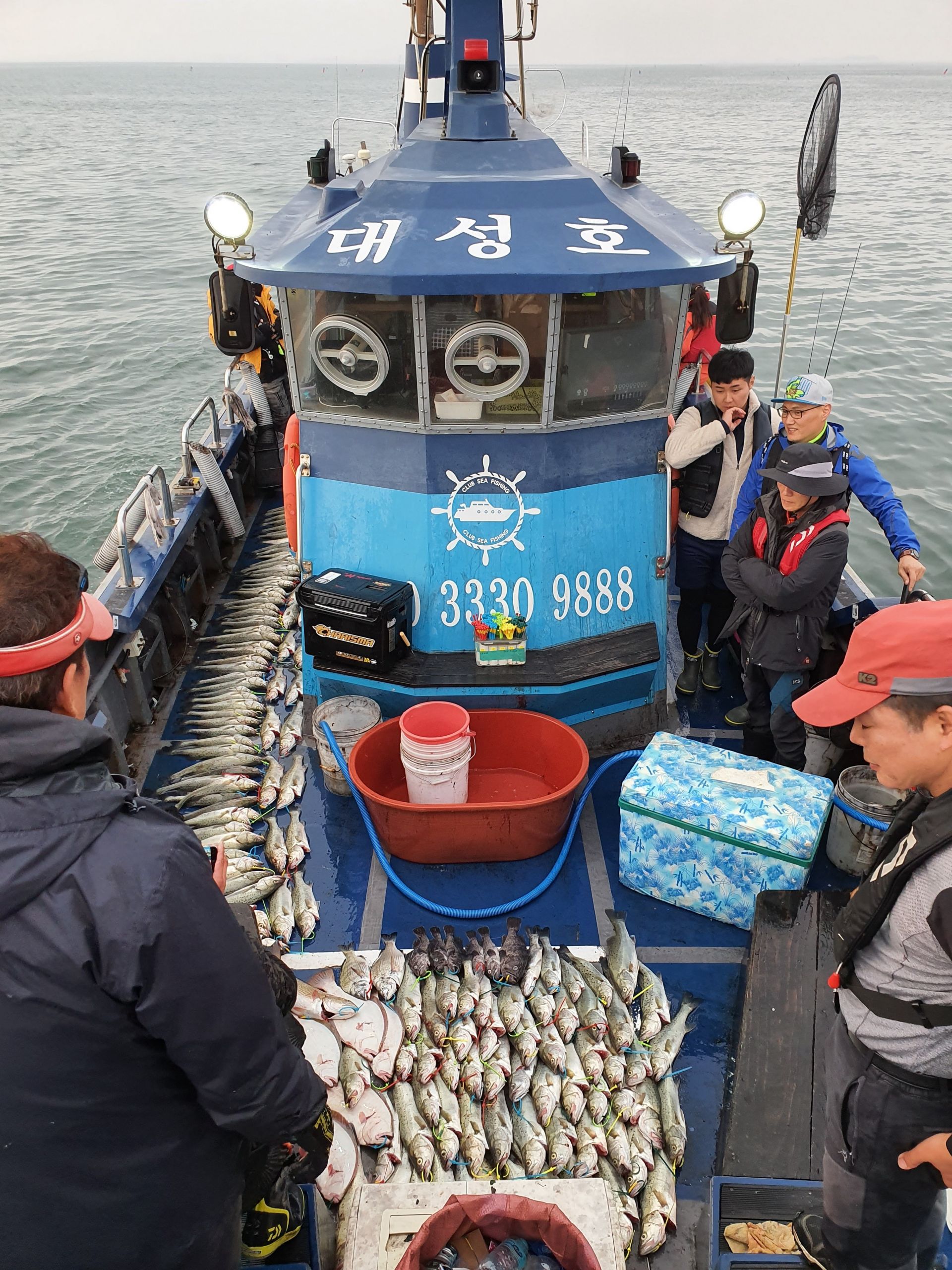 11월2일 대성호 농어외수질 초대박조황