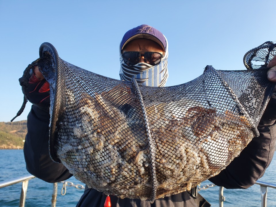 11월9일 뉴대성호 주꾸미조황