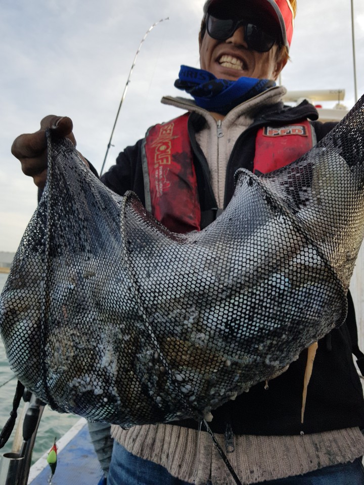 11월6일 거정호 쭈갑조황