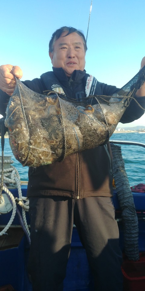 11월9일천성호주꾸미조황