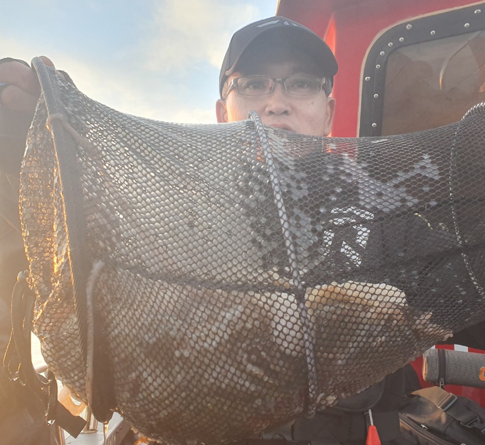 11월23일 뉴대성호 주꾸미조황