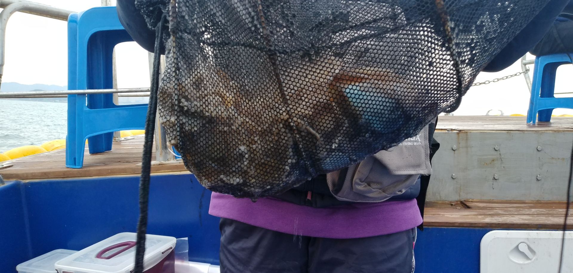 11월21일 천성호주꾸미조황