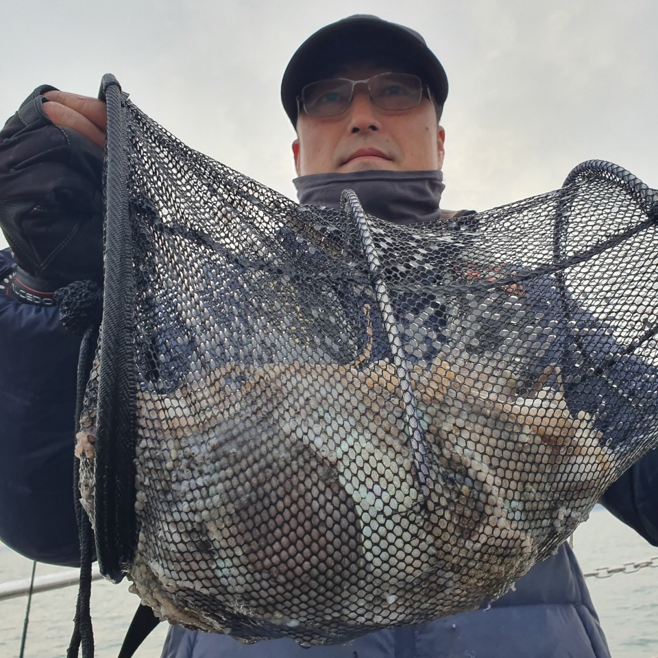 11월21일 뉴대성호 주꾸미조황