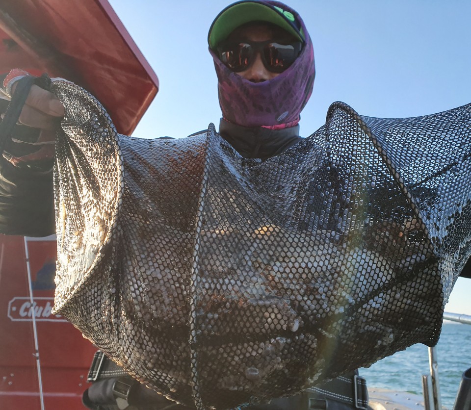 11월8일 뉴대성호 주꾸미조황