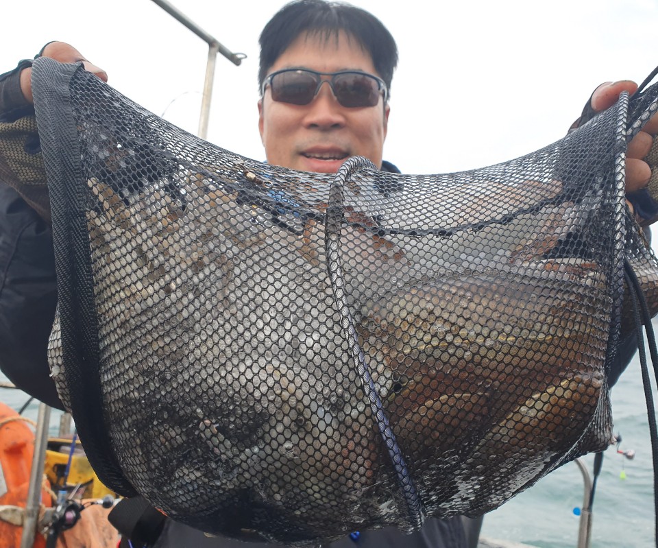 11월10일 뉴대성호 주꾸미조황