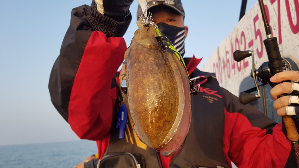 11월1일 거정호 쭈갑조황