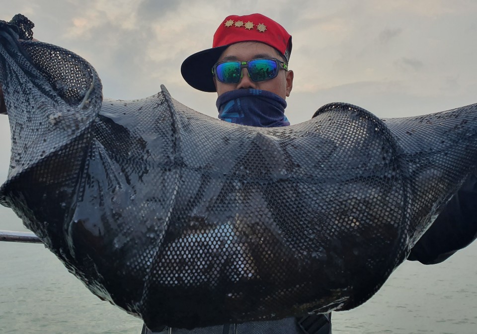 11월2일 뉴대성호 주꾸미조황