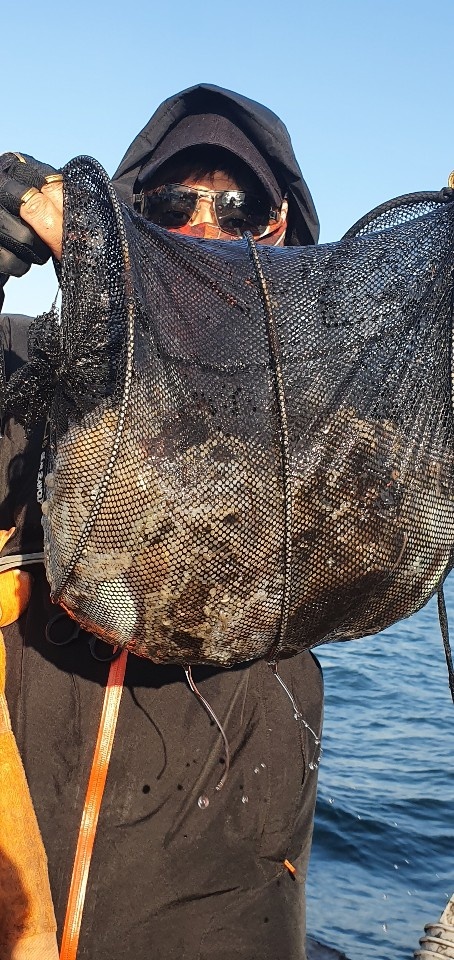 11월9일 용진호 주꾸미조황