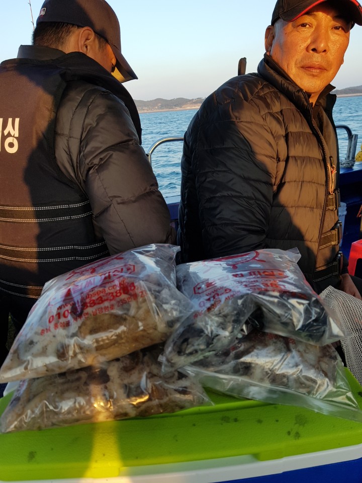 11월5일 대양호 쭈꾸미조황