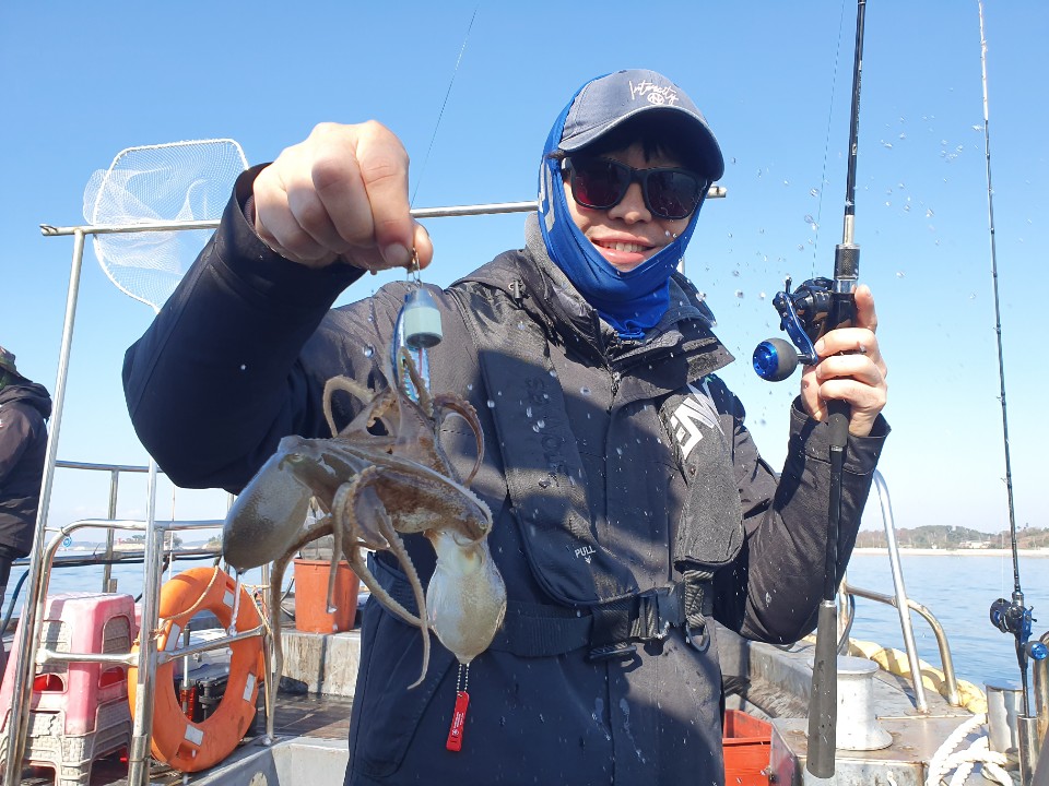 11월26일 뉴대성호 주꾸미조황