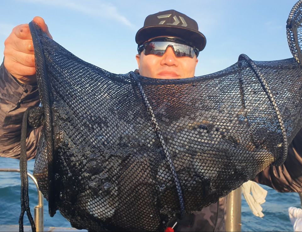 11월20일 뉴대성호 주꾸미조황