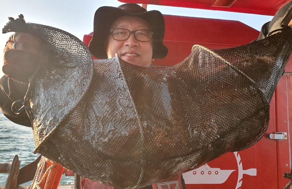 11월5일 뉴대성호 주꾸미조황