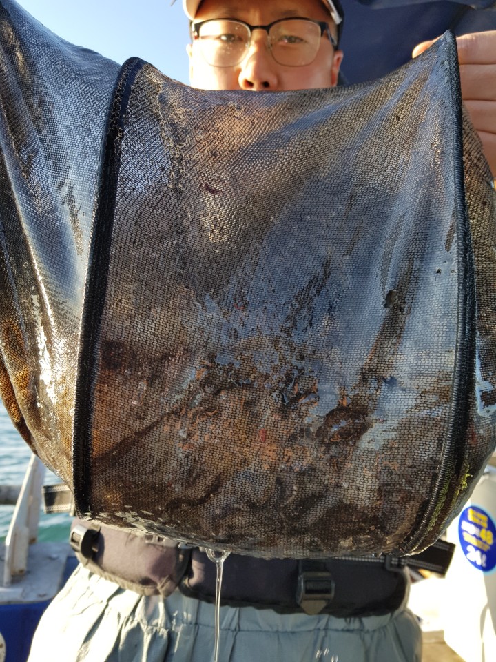 11월8일 대양호 쭈꾸미조황