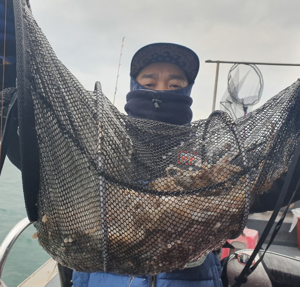 12월7일 뉴대성호 주꾸미조황