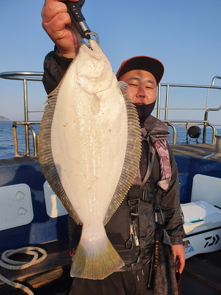 4월 28일 대성호 생미끼광어다운샷