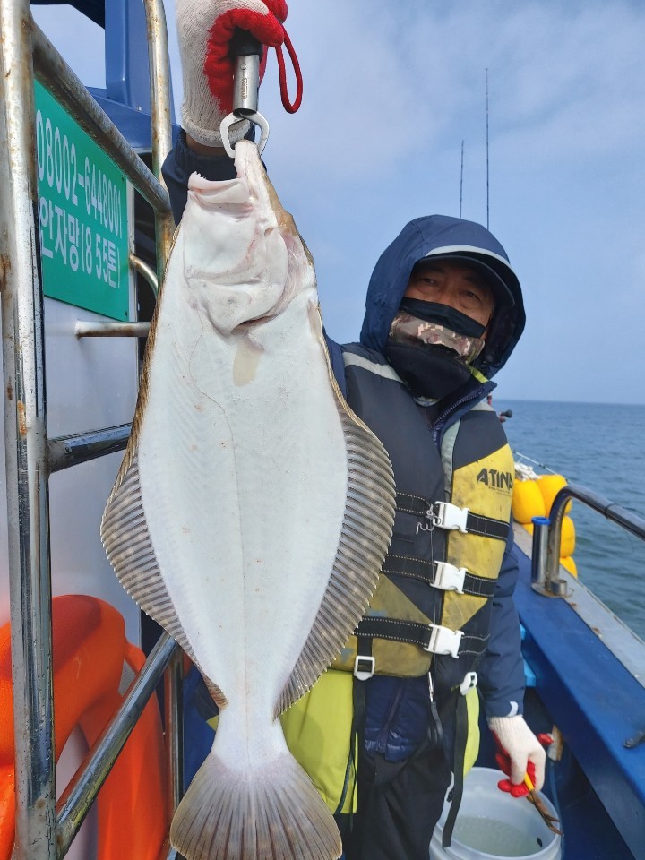 4월20일 뉴대성호 광어다운샷조황