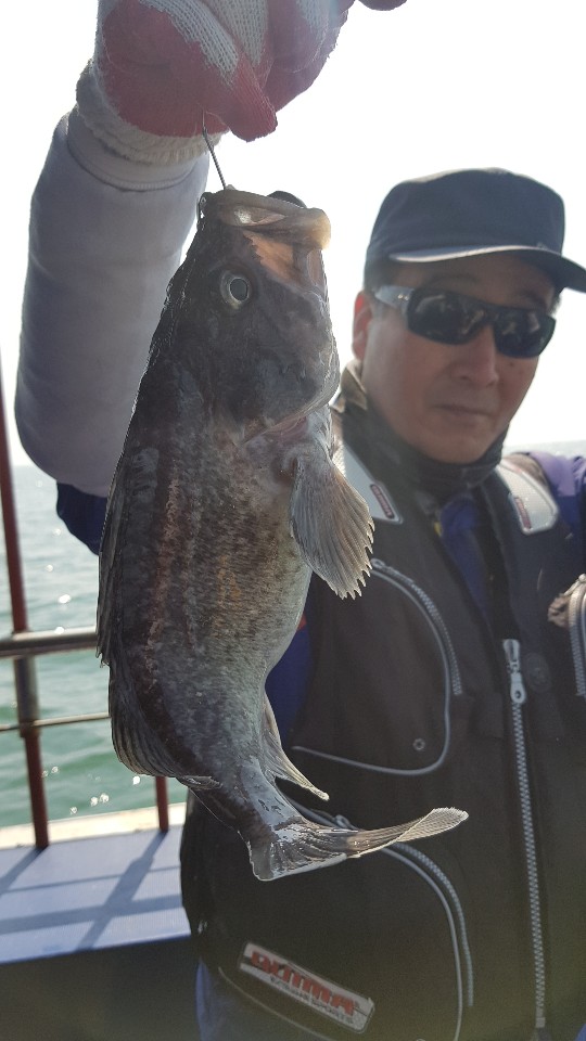 4월16일 뉴대성호 우럭조황