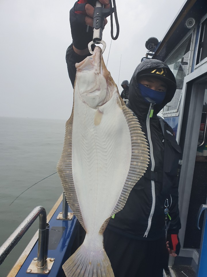 4월 19일 대성호 생미끼광어다운샷