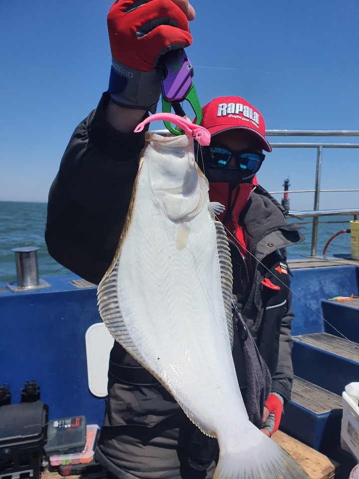 4월 26일 대성호 생미끼광어다운샷 조황