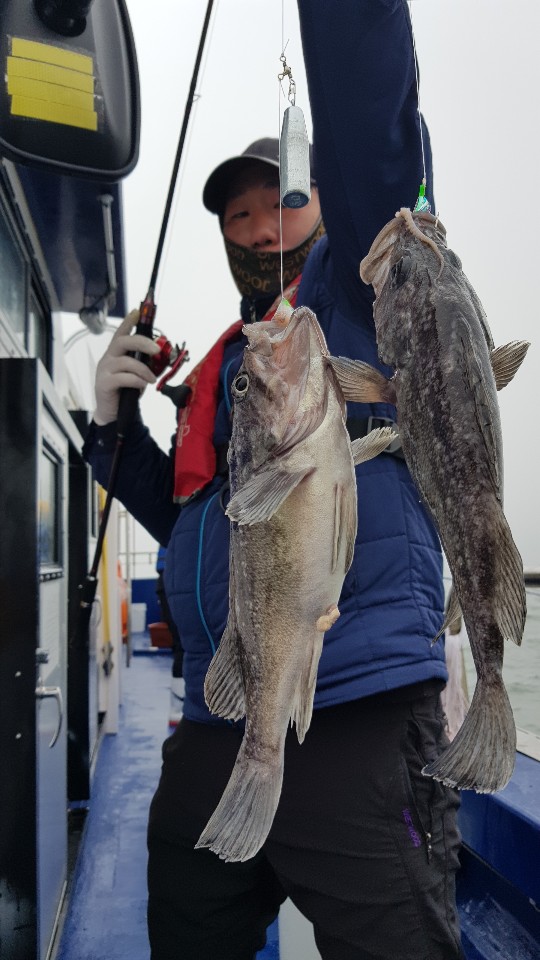 4월18일 뉴대성호 우럭조황