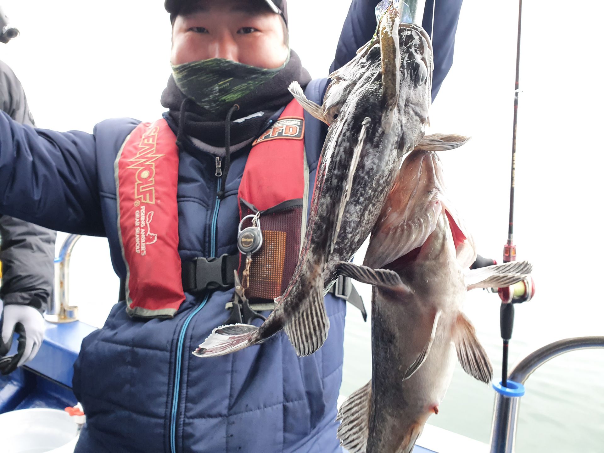 4월19일 뉴대성호 우럭조황