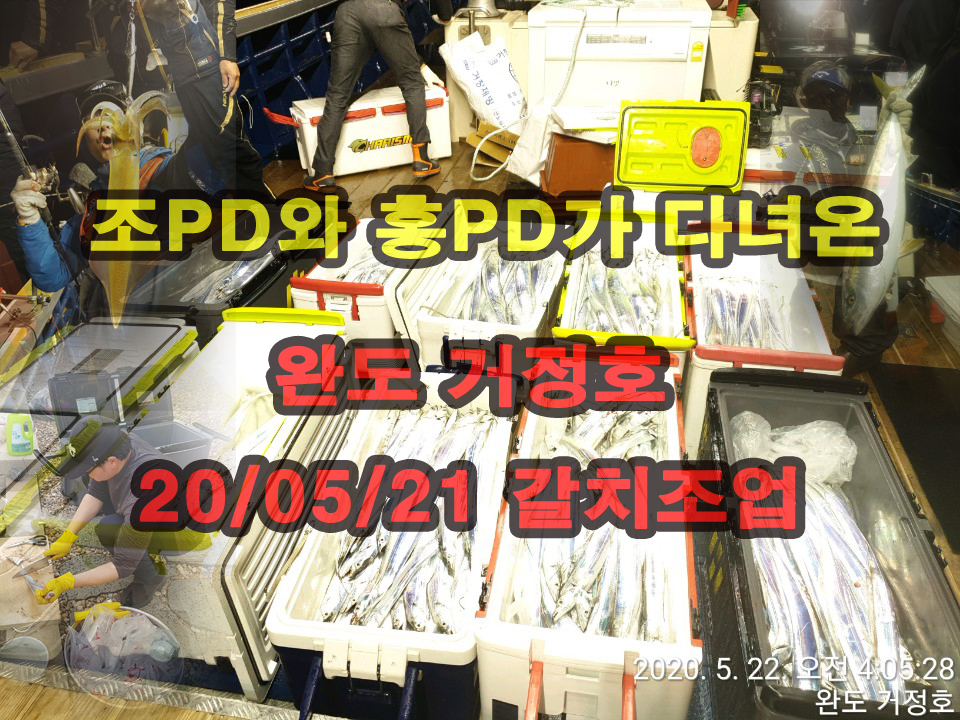 5월21일~22일 완도 거정호 갈치낚시 현장영상!!