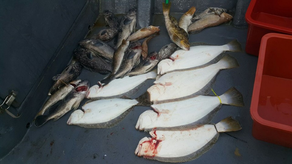 5월3일 용진호 다운샷조황