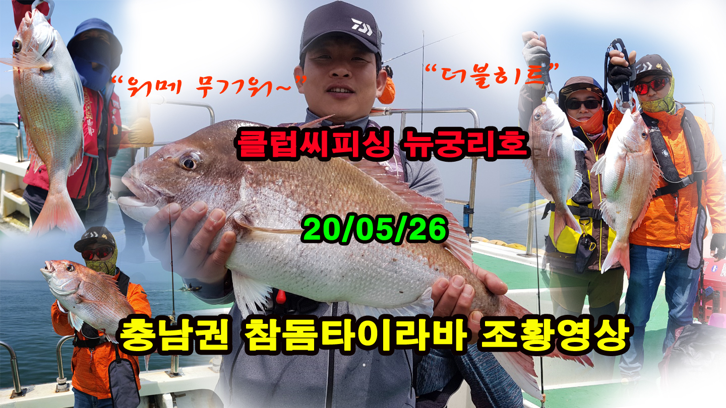 클럽씨피싱 참돔 타이라바 조황영상 (뉴궁리호, 대성1호)