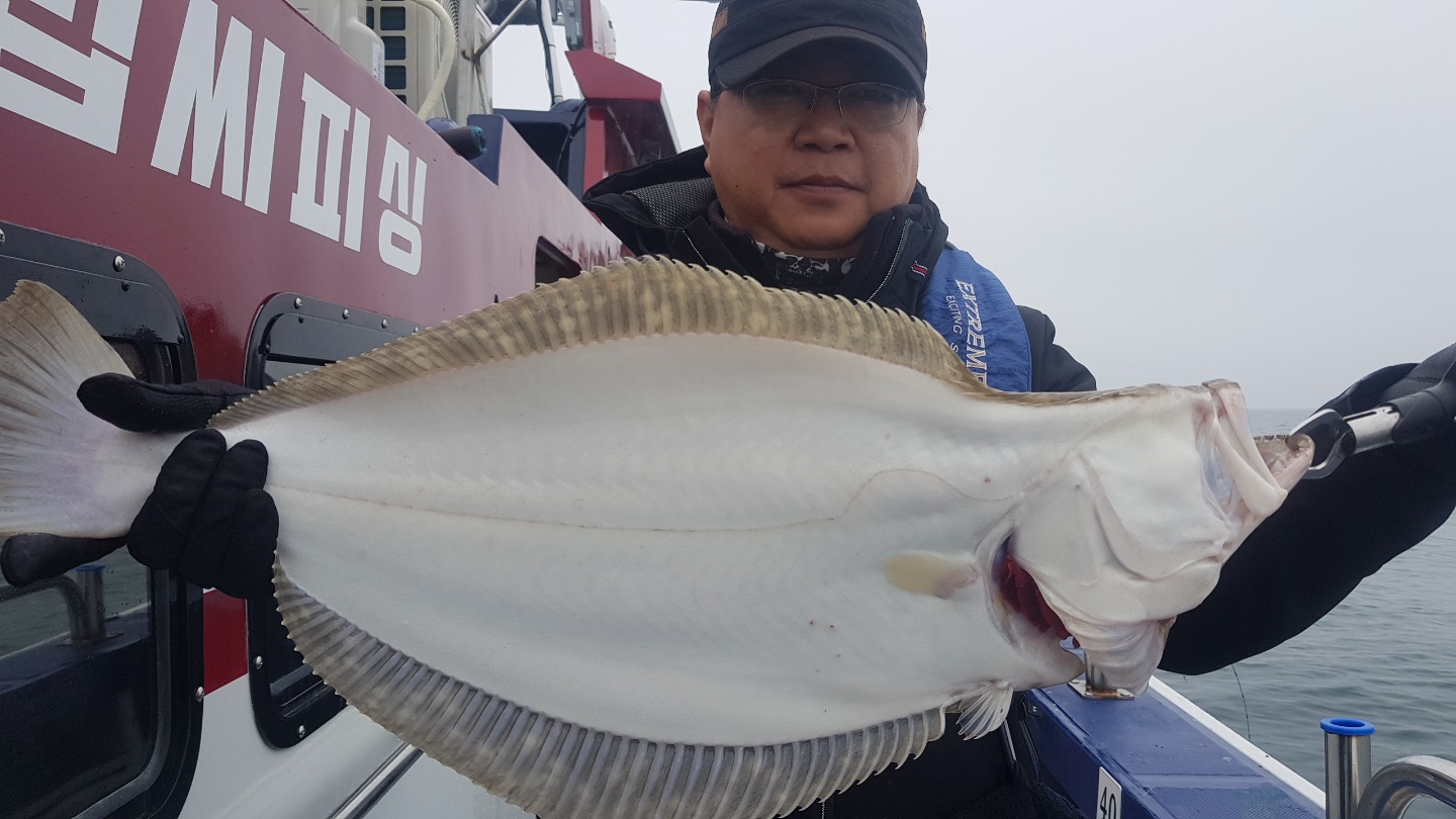 5월17일 뉴대성호 외수질단체조황