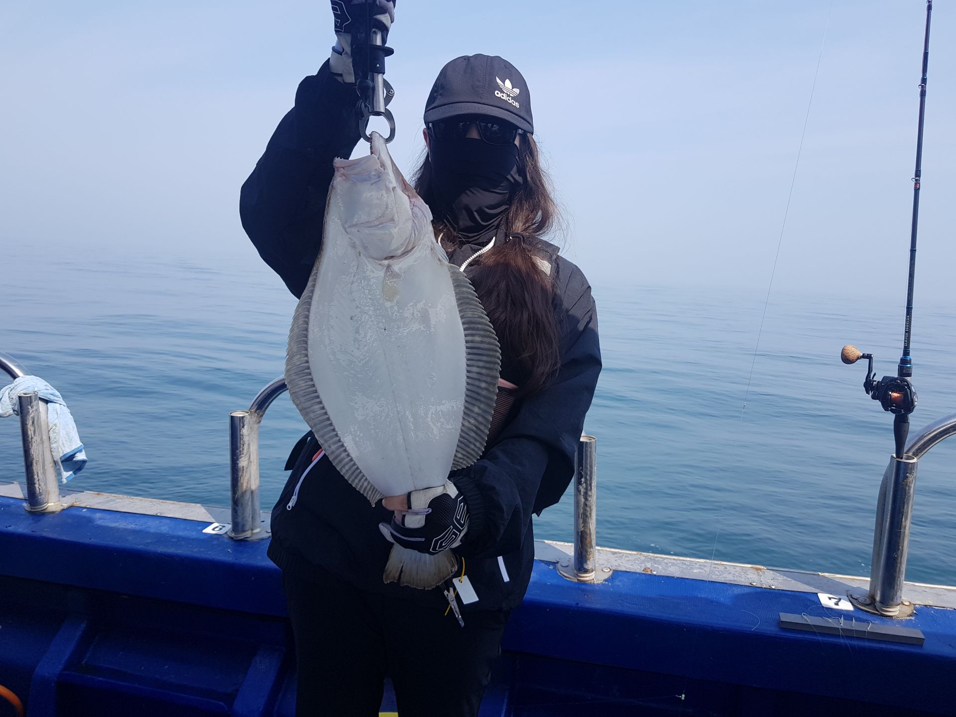 5월30일 대양호 외수질조황