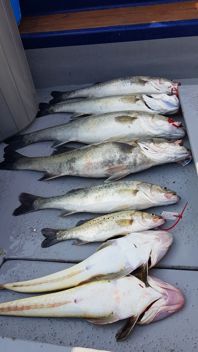 6월7일 뉴대성호 외수질조황