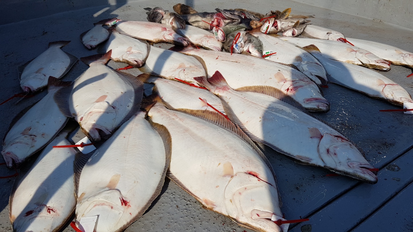 6월20일 뉴대성호 외수질조황