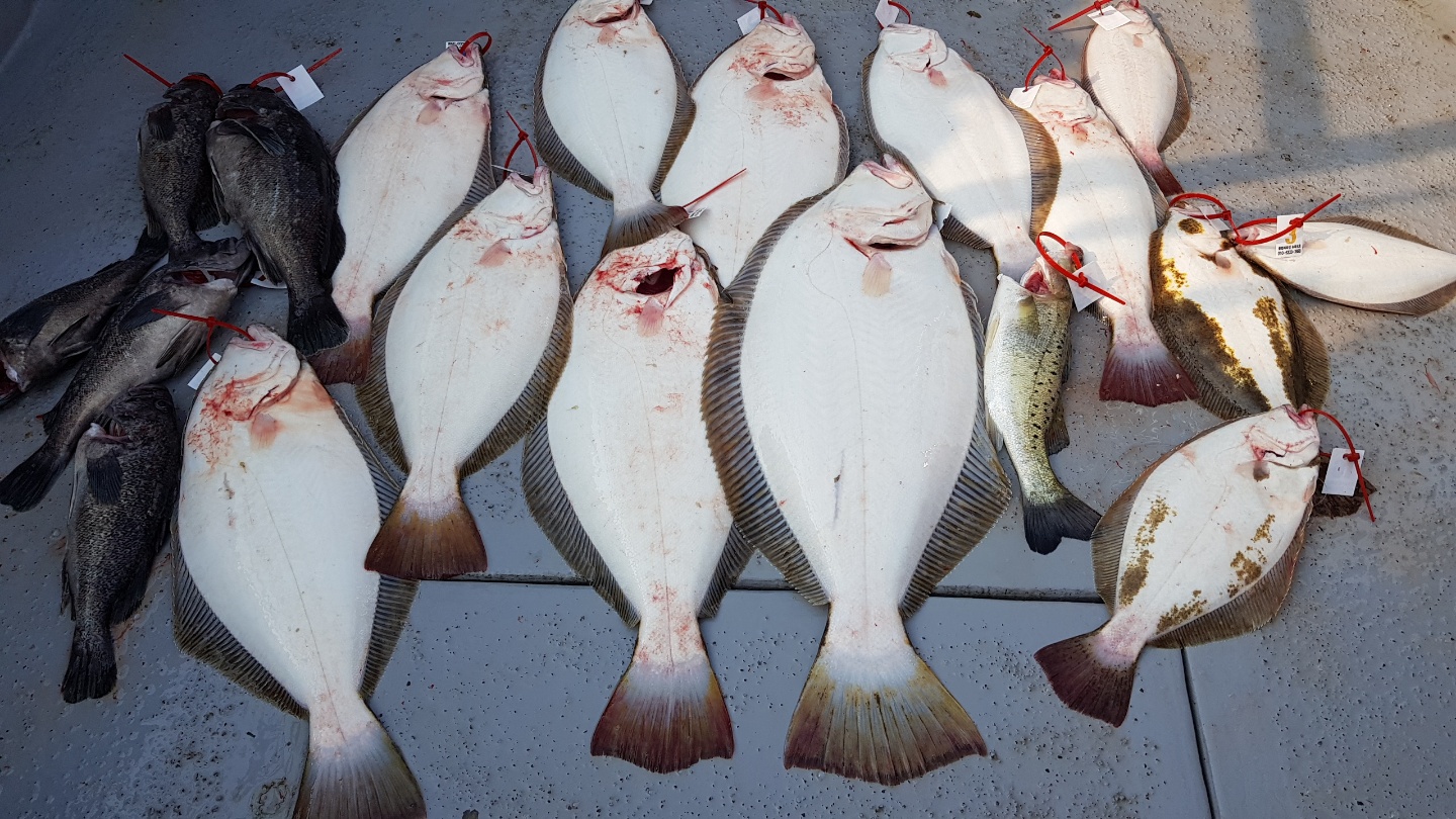 6월19일 뉴대성호 외수질조황