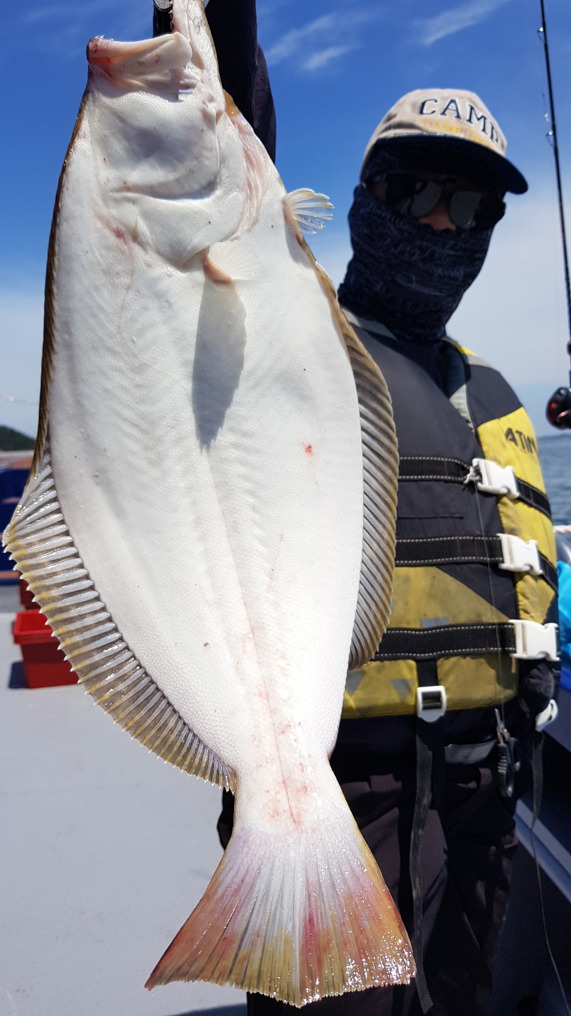 6월15일 뉴대성호 외수질조황