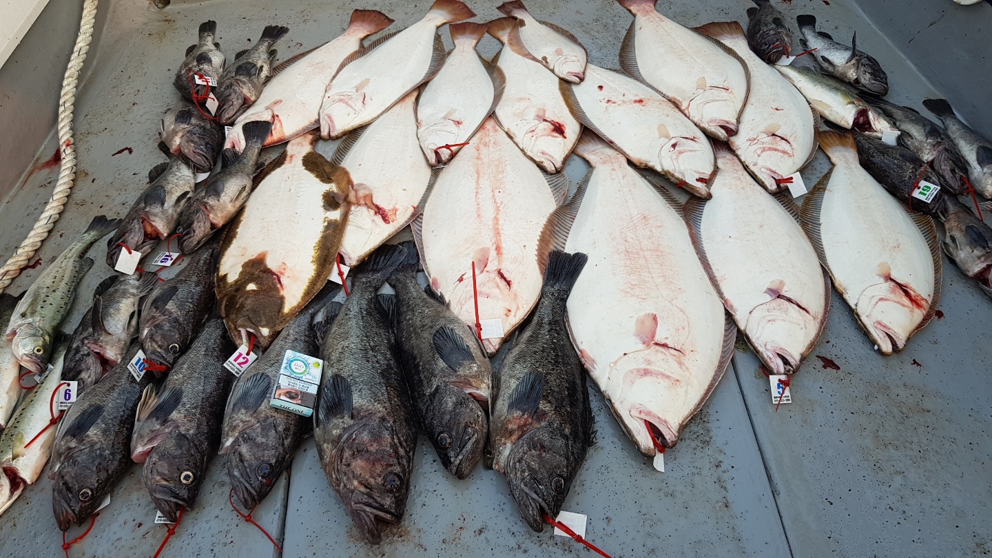 6월27일 뉴대성호 다잡아외수질