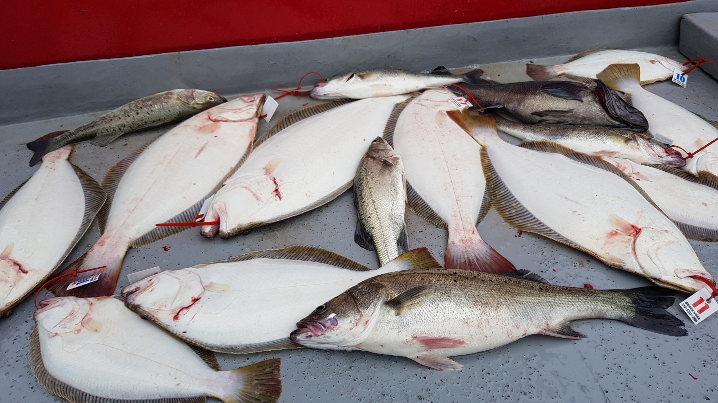 6월17일 뉴대성호 외수질조황