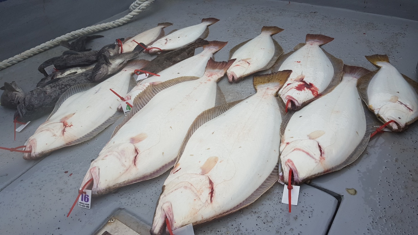 6월29일 뉴대성호 외수질조황