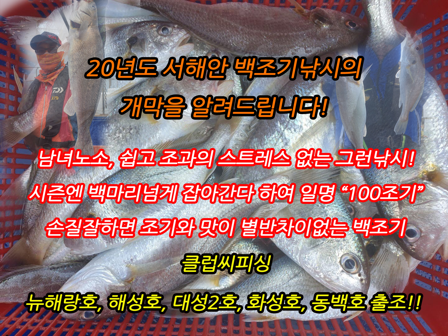 클럽씨피싱 백조기 탐사영상(백조기낚시의 개막을 엽니다~).