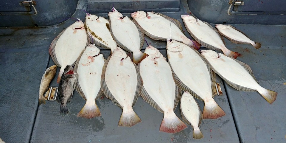 7월18일 용진호 다운샷조황