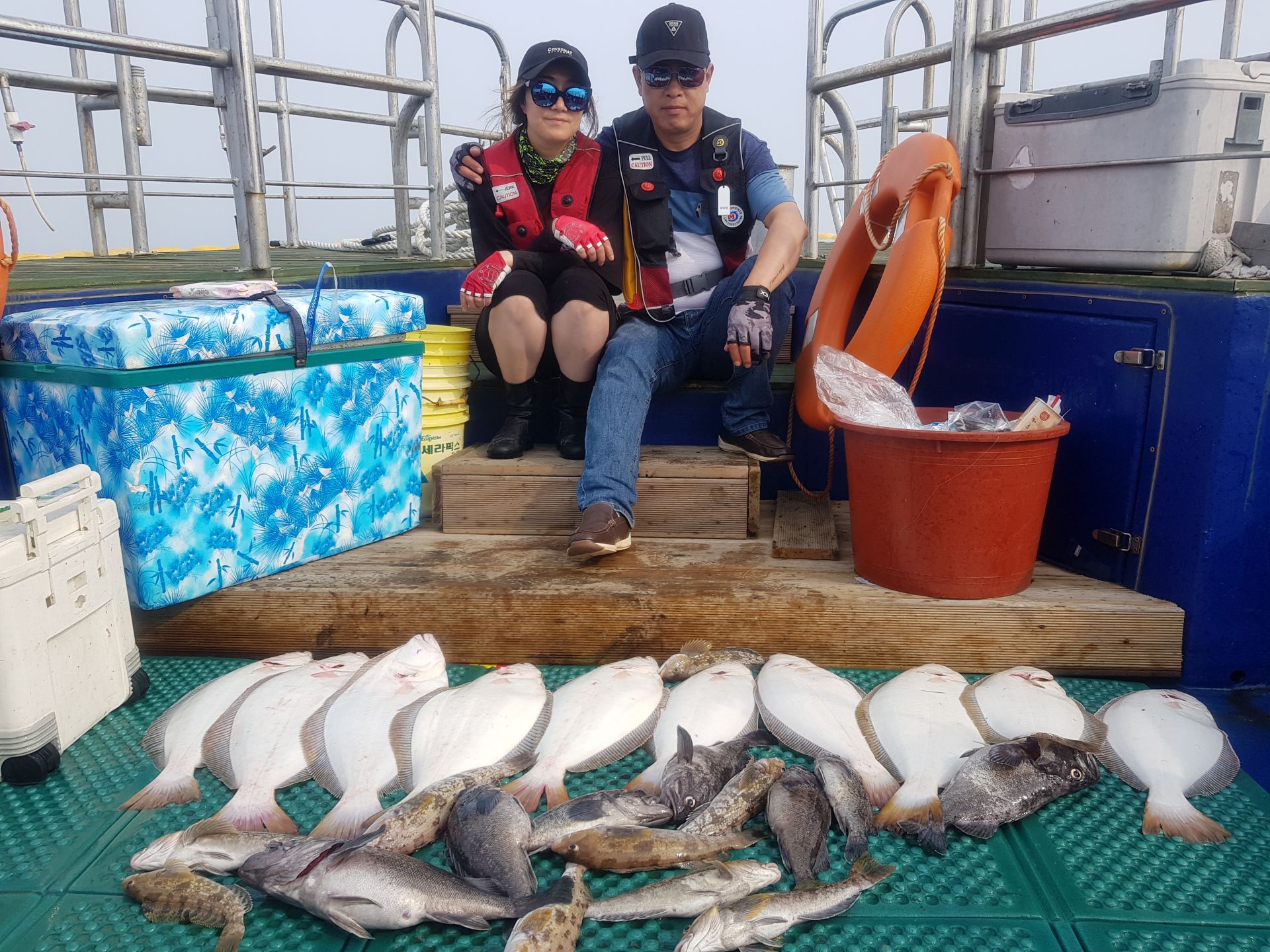 7월2일 대양호 외수질조황