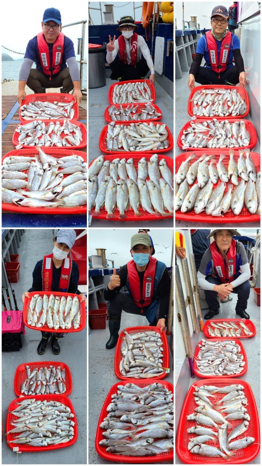 7월30일 뉴대성호 백조기조황