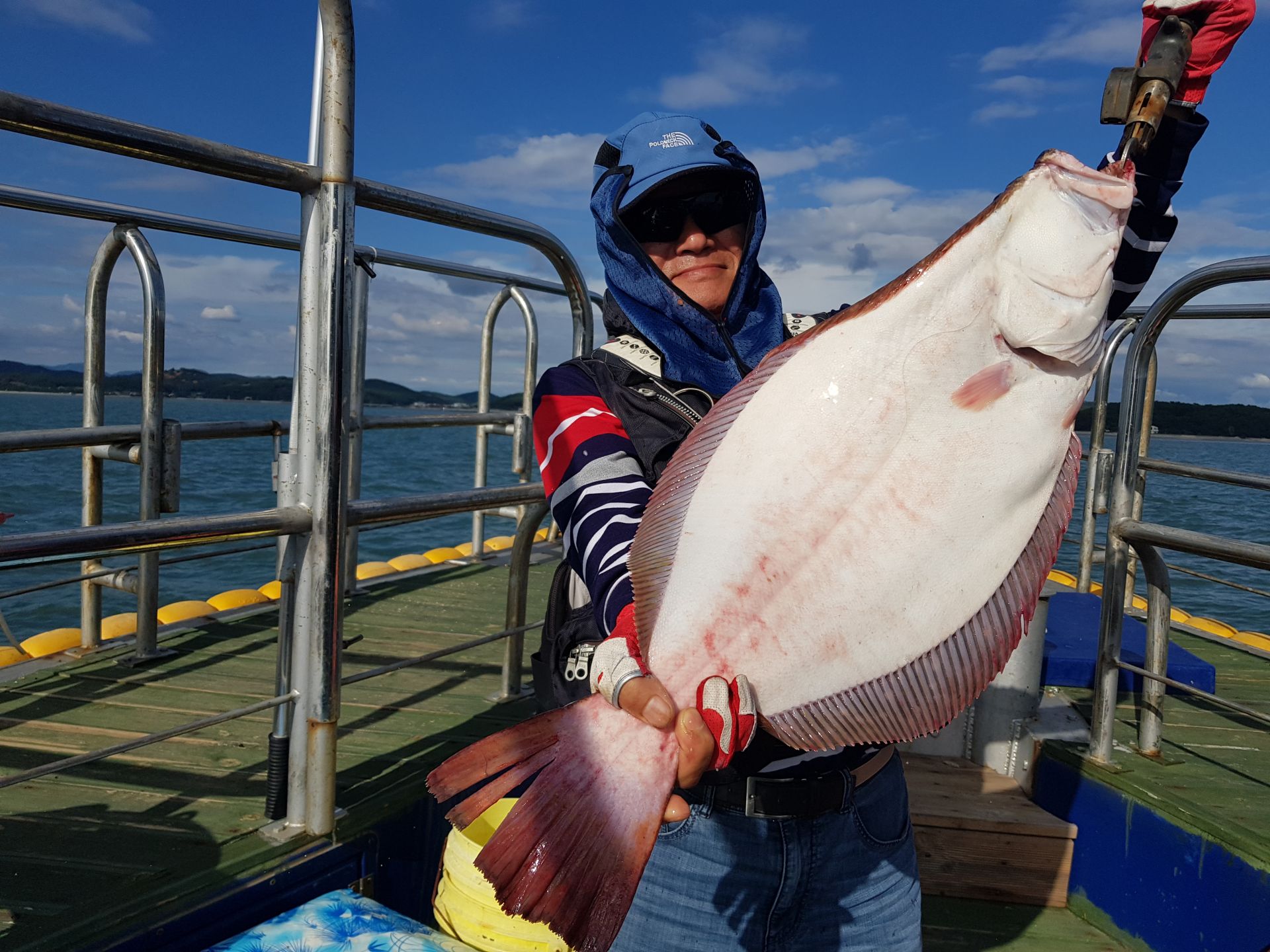 7월25일 대양호 외수질 조황