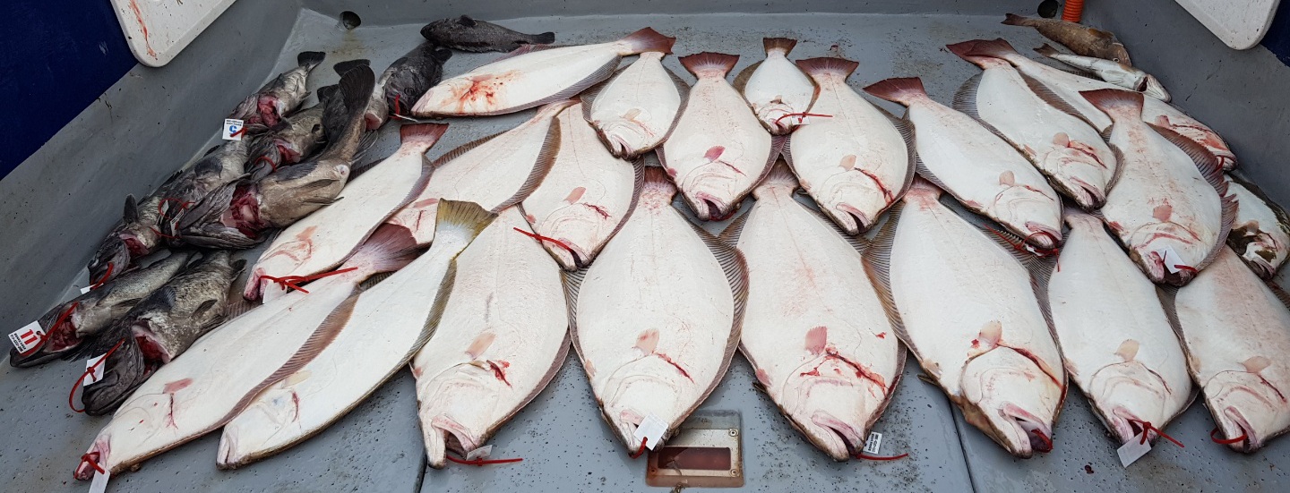 7월11일 뉴대성호 외수질조황